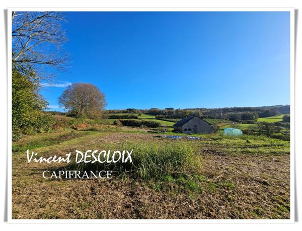 Maison à vendre 3 pièces (ARLEUF 58430) terrain 446m²