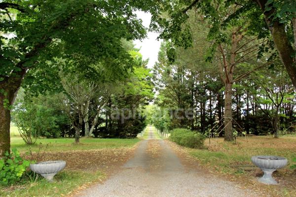 Propriete à vendre 15 pièces proche de FLEURANCE (32)