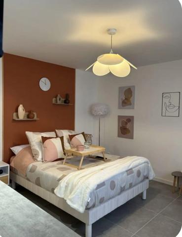 SUBLIME MAISON CONTEMPORAINE  JOUE LES TOURS (37)