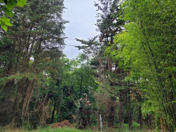 Vente Terrain 14120 m2 à Baden