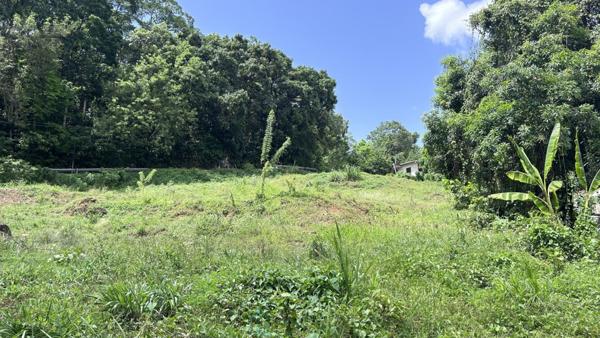 Terrain constructible plat borné de 828 m2 longeant la route avec plan et projet de construction.