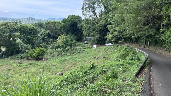 Terrain constructible plat borné de 828 m2 longeant la route avec plan et projet de construction.