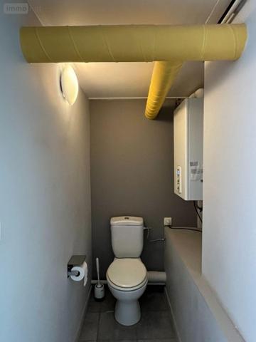 Loft à vendre à Sainte-Savine dans l'Aube (10300), ref : 10361/5755