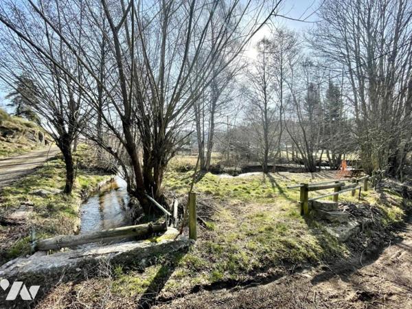 MAISON ET MOULIN A FOURNELS VENTE NUE-PROPRIÉTÉ (viager occupé sans rente) 