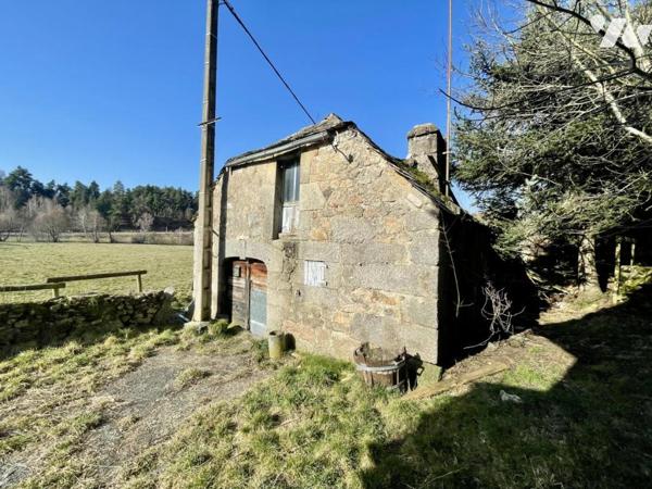 MAISON ET MOULIN A FOURNELS VENTE NUE-PROPRIÉTÉ (viager occupé sans rente) 
