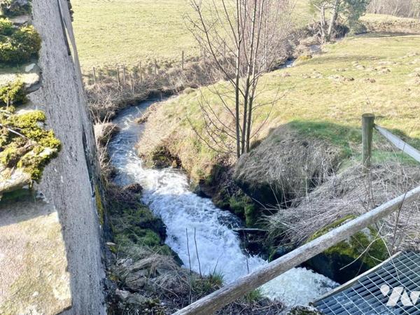MAISON ET MOULIN A FOURNELS VENTE NUE-PROPRIÉTÉ (viager occupé sans rente) 