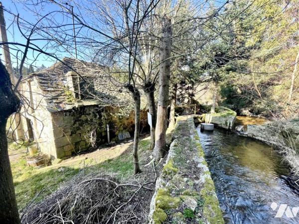 MAISON ET MOULIN A FOURNELS VENTE NUE-PROPRIÉTÉ (viager occupé sans rente) 