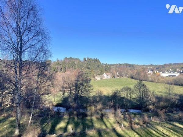 MAISON ET MOULIN A FOURNELS VENTE NUE-PROPRIÉTÉ (viager occupé sans rente) 