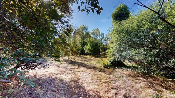 Vente                                                      Maison
                        
                     6 pièces                      134 m2                     à Émerainville