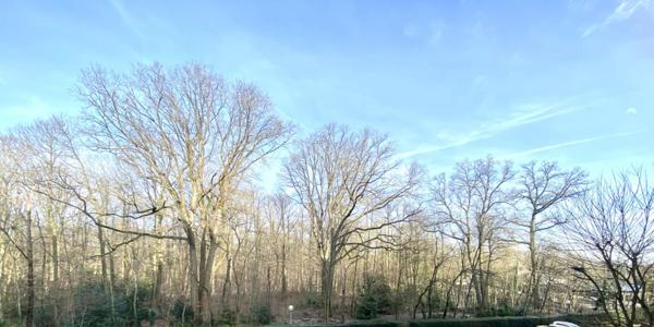 Appartement 92320 Sevres 3 chambres