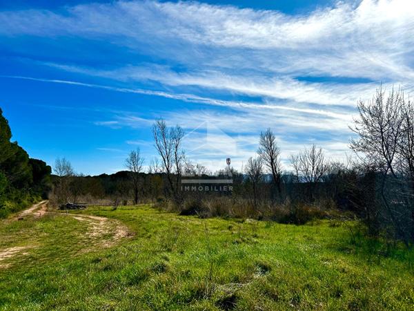Propriété Le Cannet des Maures au milieu de 7 hectares