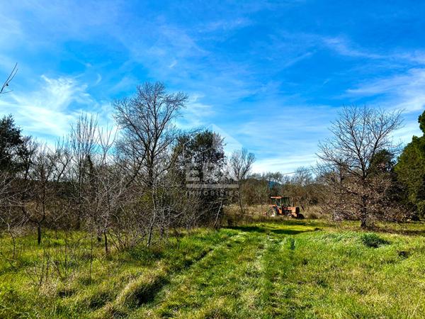 Propriété Le Cannet des Maures au milieu de 7 hectares