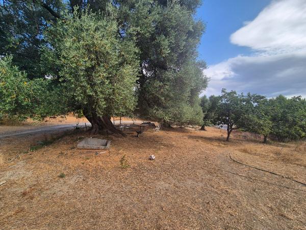 Maison Casta 6 pièce(s) 120 m2 jardin 5000 m²