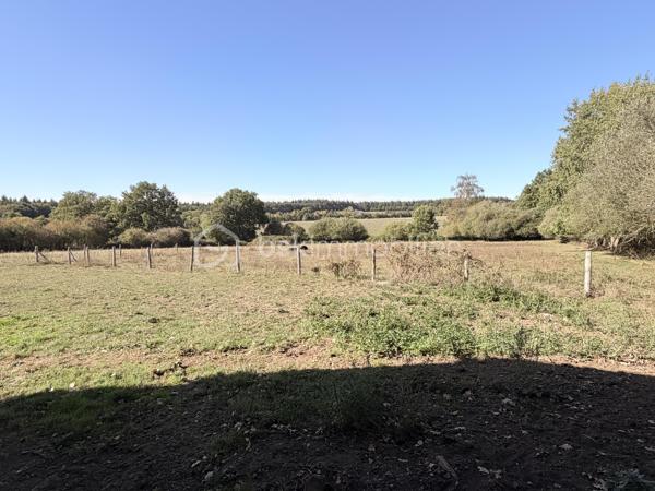 Rare à la vente sur notre secteur, cette propriété spacieuse de 233m2 offre de belles prestations sur une parcelle de plus de 14000m2 située dans la campagne de PORT-BRILLET, au calme et bien sur, sans aucun vis à vis. 
Nous commencerons la visite par  le salon-séjour lumineux de 48m2 et à la cuisine aménagée et équipée de 16m2, ces deux pièces donnant accès direct aux terrasses et au jardin. 
Nous poursuivrons la visite du rez-de-chaussée par un premier wc séparé, une chambre de 13m2 et une salle d'eau en accès pmr de 7m2 environ. 
Ensuite direction l'étage ou là encore les volumes sont tout autant spacieux. Vous découvrirez une chambre de 21m2, une autre de 15m2, une salle de bain de 6m2, un dressing, un wc séparé et une autre chambre de 22m2 avec sa mezzanine privative de 8m2 avec une vue qui surplombe les prairies ! 
Vous pensez que la visite est terminée ? Et bien nous, direction le sous-sol complet qui fait plus de 100m2 et qui cache bien des surprises .... 
En effet, vous decouvrirez une cinquième chambre qui a un accès de plain-pied à une terrasse et à un jardin, mais aussi un 3ème wc séparé, une troisième salle d'eau également et première surprise ... un sauna ! Idéal pour profiter été comme hiver et laisser place à la détente. 
Nous poursuivrons la visite du sous-sol avec la visite d'une cave de 11m2, d'une chaufferie de 4m2 et d'une buanderie de 12m2.... pour terminer par... la decouverte d'un dojo ! Une "petite" salle de sport à domicile de 40m2 avec accès direct au jardin !!! Bien entendu, vous pouvez aisément donner un autre usage à cette pièce si vous le souhaitez comme une suite parentale, un studio ou encore un local professionnel, vous avez le contenant, à vous d'en créer le contenu !
Toutes les menuiseries sont en double vitrage avec volets roulants électriques centralisés. Le mode de chauffage est une pompe à chaleur installée en Février 2025. L'ancienne chaudière gaz a été conservée pour alimentée la cuisinière gaz de la cuisine mais pourra être enlevée. En complément et pour des soirées au coin du feu, un insert bois est présent dans le salon. 
Direction les extérieurs, vous pourrez profiter en toute tranquilité de la parcelle de la maison entièrement close de 2000m2 avec ces terrasses  sans aucun vis à vis et avec vue sur la campagne. Un portail donne accès à plusieurs places de parking enrobées et à la maison et un autre portail, à la belle et rare découverte d'un joli barns composé de 3 boxes, d'une sellerie, d'un local technique et d'une autre pièce.  Le barns donne accès à une parcelle entièrement close de 12000m2 pour vos chevaux ! Alors  conquis par cette belle propriété offrant la possibilité à ses futurs propriétaires de pouvoir profiter de leurs chevaux aux portes de leur maison ? N'hésitez pas, appelez moi pour plus de renseignements et peut-être fixer une visite !