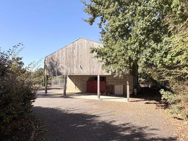 Rare à la vente sur notre secteur, cette propriété spacieuse de 233m2 offre de belles prestations sur une parcelle de plus de 14000m2 située dans la campagne de PORT-BRILLET, au calme et bien sur, sans aucun vis à vis. 
Nous commencerons la visite par  le salon-séjour lumineux de 48m2 et à la cuisine aménagée et équipée de 16m2, ces deux pièces donnant accès direct aux terrasses et au jardin. 
Nous poursuivrons la visite du rez-de-chaussée par un premier wc séparé, une chambre de 13m2 et une salle d'eau en accès pmr de 7m2 environ. 
Ensuite direction l'étage ou là encore les volumes sont tout autant spacieux. Vous découvrirez une chambre de 21m2, une autre de 15m2, une salle de bain de 6m2, un dressing, un wc séparé et une autre chambre de 22m2 avec sa mezzanine privative de 8m2 avec une vue qui surplombe les prairies ! 
Vous pensez que la visite est terminée ? Et bien nous, direction le sous-sol complet qui fait plus de 100m2 et qui cache bien des surprises .... 
En effet, vous decouvrirez une cinquième chambre qui a un accès de plain-pied à une terrasse et à un jardin, mais aussi un 3ème wc séparé, une troisième salle d'eau également et première surprise ... un sauna ! Idéal pour profiter été comme hiver et laisser place à la détente. 
Nous poursuivrons la visite du sous-sol avec la visite d'une cave de 11m2, d'une chaufferie de 4m2 et d'une buanderie de 12m2.... pour terminer par... la decouverte d'un dojo ! Une "petite" salle de sport à domicile de 40m2 avec accès direct au jardin !!! Bien entendu, vous pouvez aisément donner un autre usage à cette pièce si vous le souhaitez comme une suite parentale, un studio ou encore un local professionnel, vous avez le contenant, à vous d'en créer le contenu !
Toutes les menuiseries sont en double vitrage avec volets roulants électriques centralisés. Le mode de chauffage est une pompe à chaleur installée en Février 2025. L'ancienne chaudière gaz a été conservée pour alimentée la cuisinière gaz de la cuisine mais pourra être enlevée. En complément et pour des soirées au coin du feu, un insert bois est présent dans le salon. 
Direction les extérieurs, vous pourrez profiter en toute tranquilité de la parcelle de la maison entièrement close de 2000m2 avec ces terrasses  sans aucun vis à vis et avec vue sur la campagne. Un portail donne accès à plusieurs places de parking enrobées et à la maison et un autre portail, à la belle et rare découverte d'un joli barns composé de 3 boxes, d'une sellerie, d'un local technique et d'une autre pièce.  Le barns donne accès à une parcelle entièrement close de 12000m2 pour vos chevaux ! Alors  conquis par cette belle propriété offrant la possibilité à ses futurs propriétaires de pouvoir profiter de leurs chevaux aux portes de leur maison ? N'hésitez pas, appelez moi pour plus de renseignements et peut-être fixer une visite !