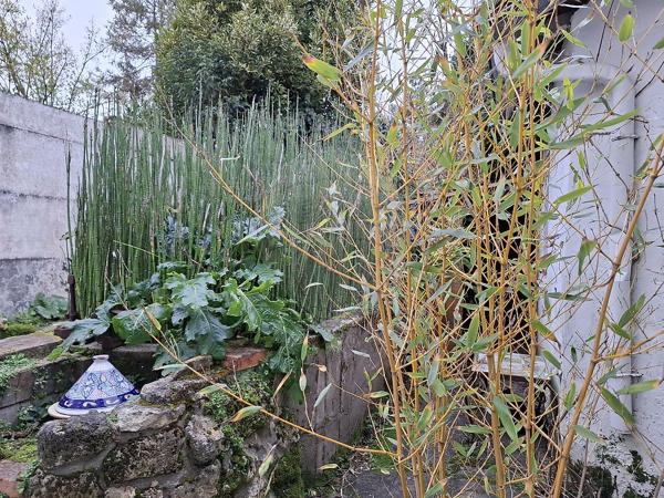 Maison  en vente - Charente-Maritime - 17