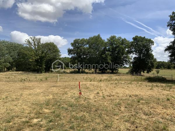 Terrain de 1 133 m²