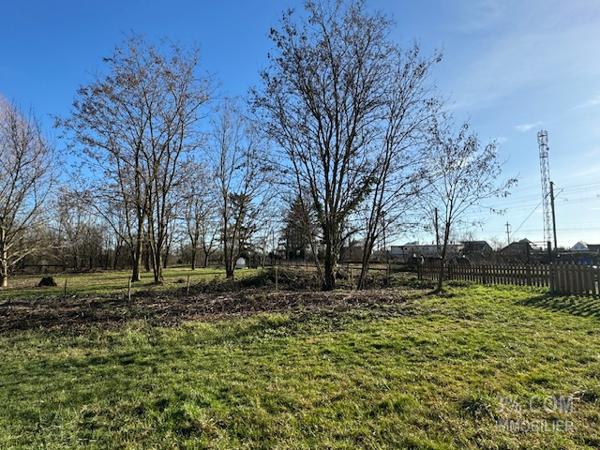 3%.COM Maison contemporaine avec 4 chambres sur terrain de 18 ares Mommenheim (67670)