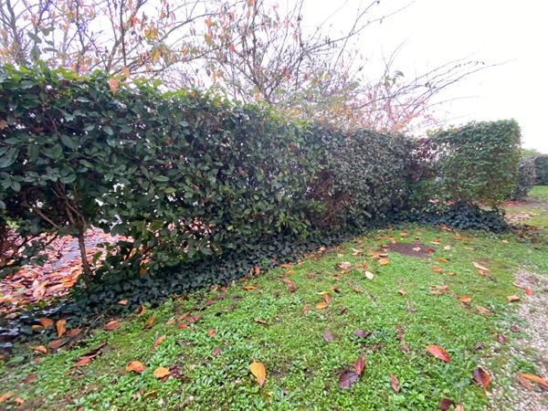 Vente appartement Nantes : 149 600 € - AJP Immobilier Nantes Est