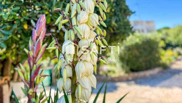 Maison de plain-pied à Giens