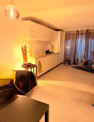 Appartement en rez de chaussée traversant de 45m² loi carrez, terrasse, et local commun