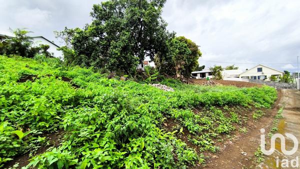 Terrain à vendre 603 m² Saint-Louis