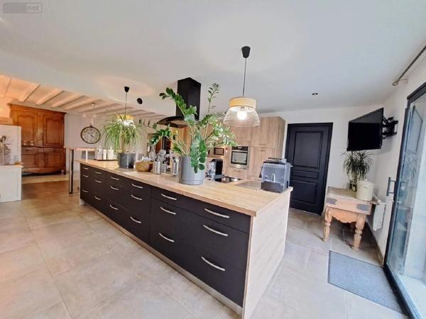 Achat - Maison La Selle-Craonnaise 53800 5 pièces 220 m 2 1295 m 2