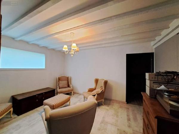 Achat - Maison La Selle-Craonnaise 53800 5 pièces 220 m 2 1295 m 2