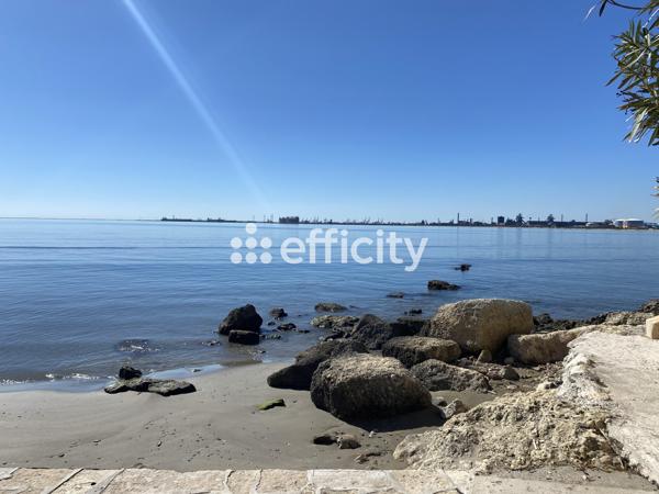 Appartement 2 pièces - 46 m² Exclusivité efficity