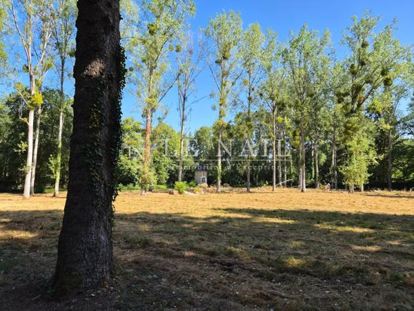 Élégante demeure avec dépendances et piscine au cœur d'un parc de 8 hectares en Touraine