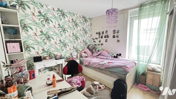 Maison 3 chambres jardin