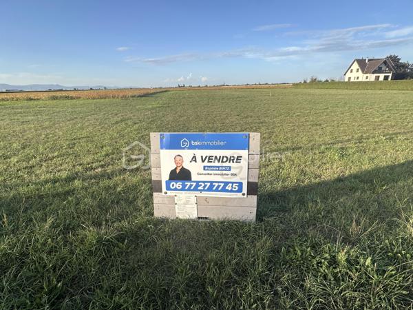 À Oberhergheim, découvrez ce terrain constructible de 600 m² (6 ares), libre de constructeur, offrant un cadre privilégié pour concrétiser votre projet de vie.

Idéalement situé en sortie de village, ce terrain bénéficie d'une vue entièrement dégagée sur le massif des Vosges.

Sa configuration permet d'imaginer une maison avec un agréable espace extérieur, une terrasse et une piscine profitant pleinement de cette vue.

Le terrain est non viabilisé, les réseaux étant situés à proximité.

Une belle opportunité de concrétiser votre projet de vie dans une commune idéalement située, alliant qualité de vie et accès rapide à toutes les commodités.