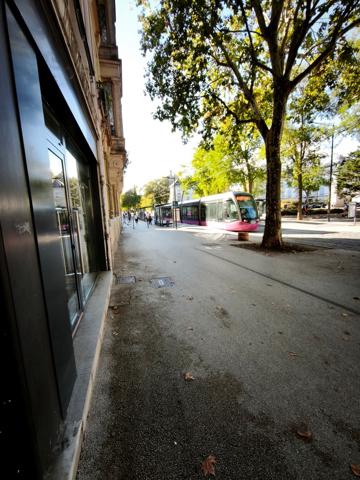 Local professionnel / commercial