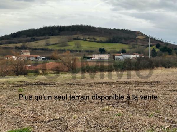 Vente / Terrain