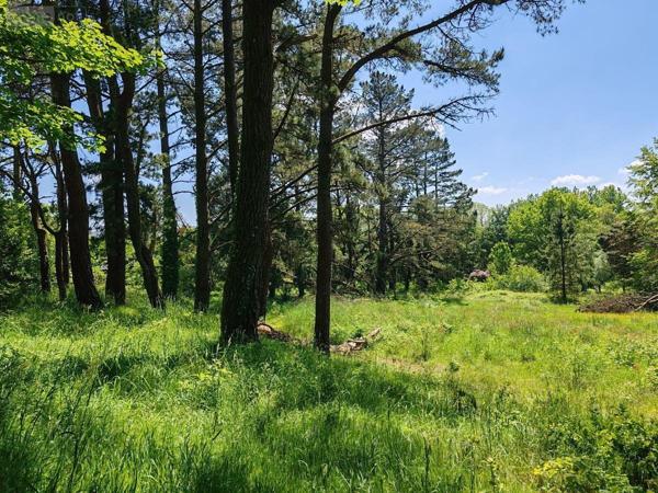 Immeuble à vendre à Plounéour-Ménez dans le Finistère (29410), ref : 29107-2754