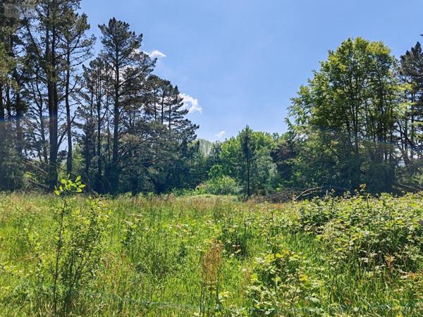 Immeuble à vendre à Plounéour-Ménez dans le Finistère (29410), ref : 29107-2754