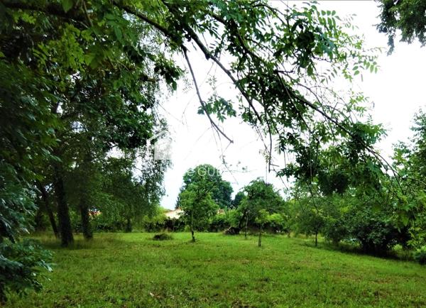 Terrain constructible de 970 m2 à Hinx.