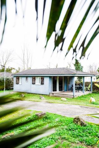 Chalet dans son écrin de verdure