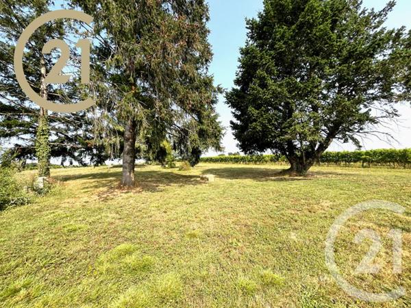 Maison à vendre  6 pièces - 146,45 m2 BRANNE - 33