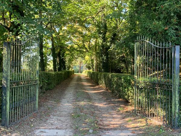 Vente / Maison de maître