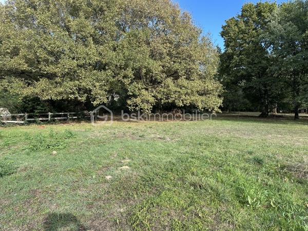 En limite des communes de PIBRAC et BRAX, très beau terrain issu d'une division parcellaire.
Environnement arboré et calme.
Terrain plat de forme rectangulaire orienté Est-Ouest, ENTIEREMENT VIABILISE..
Proche de toutes les commodités, des écoles et de la gare.
15 KM de l'aéroport de BLAGNAC et du centre de TOULOUSE.
Proche des sites AIRBUS de COLOMIERS.

Seule une visite vous permettra de savoir si ce terrain vous correspond.