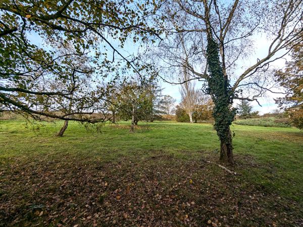 Maison 4 chambres grand terrain