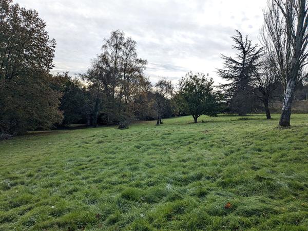 Maison 4 chambres grand terrain