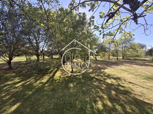COURS-DE-PILE : Belle maison familiale 7 pièces de 183 m² avec jardin