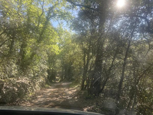 Immobilier Lorgues (83510) – Terrain 3270m2 – 10 000 €