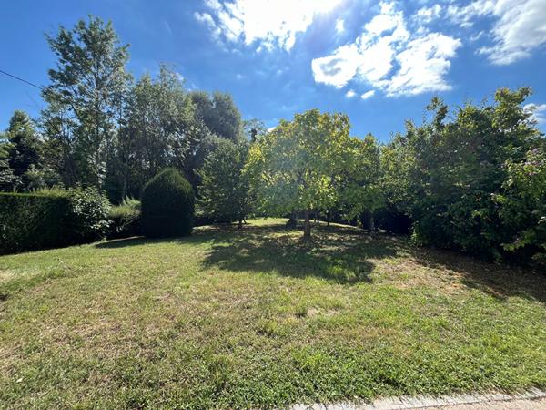 EXCLUSIVITÉ - VINEUIL