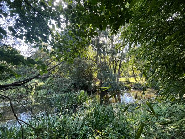 EXCLUSIVITÉ - VINEUIL