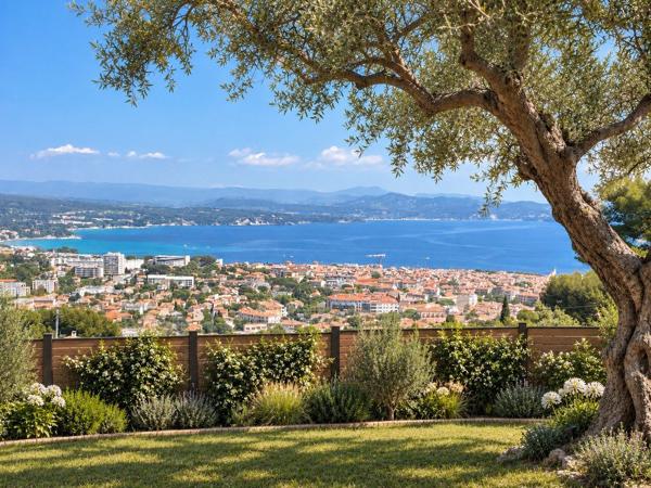 Vente Maison de luxe La Ciotat 7 Pièces 250 m²
