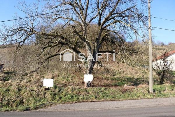 Terrain à batir, 27 m de façade environ.