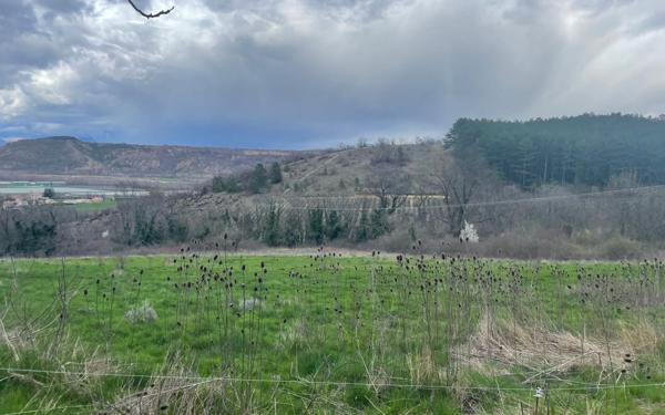 Terrain à vendre    Antonaves